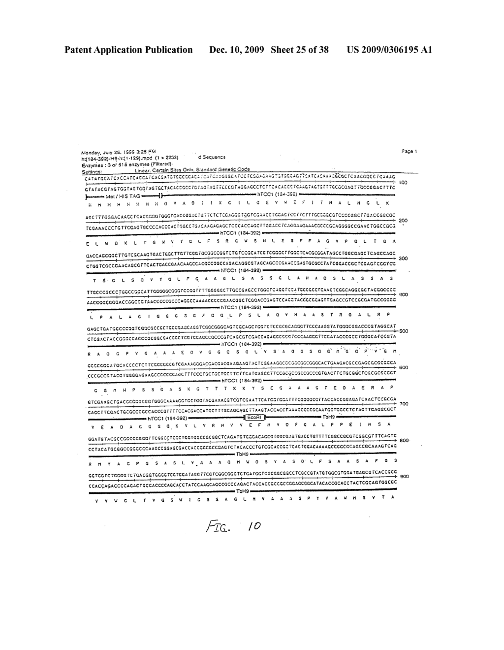 Fusion Proteins of Mycobacterium Tuberculosis - diagram, schematic, and image 26