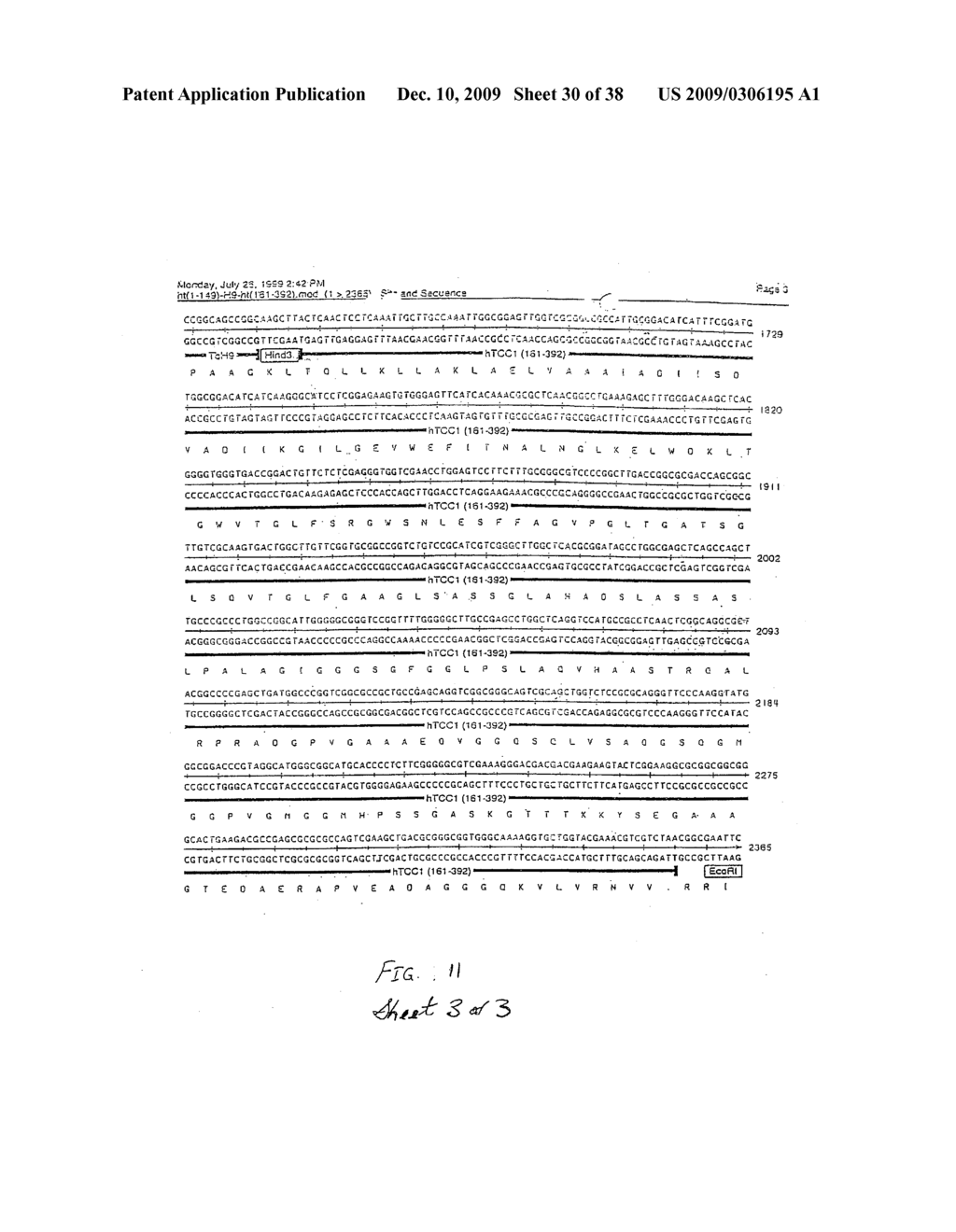 Fusion Proteins of Mycobacterium Tuberculosis - diagram, schematic, and image 31