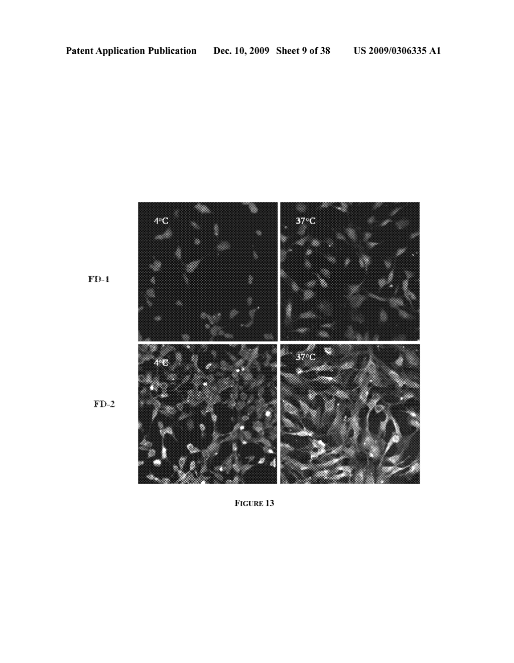 MULTIFUNCTIONAL DEGRADABLE NANOPARTICLES WITH CONTROL OVER SIZE AND FUNCTIONALITIES - diagram, schematic, and image 10