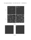 MULTIFUNCTIONAL DEGRADABLE NANOPARTICLES WITH CONTROL OVER SIZE AND FUNCTIONALITIES diagram and image