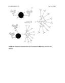 MULTIFUNCTIONAL DEGRADABLE NANOPARTICLES WITH CONTROL OVER SIZE AND FUNCTIONALITIES diagram and image