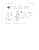 MULTIFUNCTIONAL DEGRADABLE NANOPARTICLES WITH CONTROL OVER SIZE AND FUNCTIONALITIES diagram and image