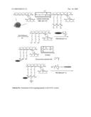 MULTIFUNCTIONAL DEGRADABLE NANOPARTICLES WITH CONTROL OVER SIZE AND FUNCTIONALITIES diagram and image