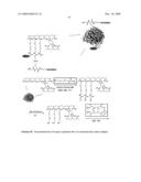 MULTIFUNCTIONAL DEGRADABLE NANOPARTICLES WITH CONTROL OVER SIZE AND FUNCTIONALITIES diagram and image