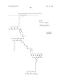 MULTIFUNCTIONAL DEGRADABLE NANOPARTICLES WITH CONTROL OVER SIZE AND FUNCTIONALITIES diagram and image