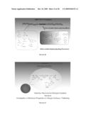 MULTIFUNCTIONAL DEGRADABLE NANOPARTICLES WITH CONTROL OVER SIZE AND FUNCTIONALITIES diagram and image