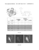 MULTIFUNCTIONAL DEGRADABLE NANOPARTICLES WITH CONTROL OVER SIZE AND FUNCTIONALITIES diagram and image