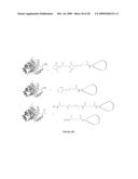 MULTIFUNCTIONAL DEGRADABLE NANOPARTICLES WITH CONTROL OVER SIZE AND FUNCTIONALITIES diagram and image