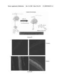 MULTIFUNCTIONAL DEGRADABLE NANOPARTICLES WITH CONTROL OVER SIZE AND FUNCTIONALITIES diagram and image