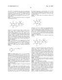 MULTIFUNCTIONAL DEGRADABLE NANOPARTICLES WITH CONTROL OVER SIZE AND FUNCTIONALITIES diagram and image