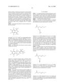 MULTIFUNCTIONAL DEGRADABLE NANOPARTICLES WITH CONTROL OVER SIZE AND FUNCTIONALITIES diagram and image