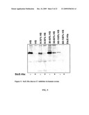 METHOD OF REDUCING THE VISCOSITY OF MUCUS diagram and image