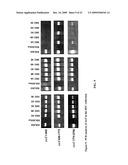 METHOD OF REDUCING THE VISCOSITY OF MUCUS diagram and image