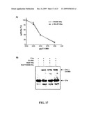 METHOD OF REDUCING THE VISCOSITY OF MUCUS diagram and image