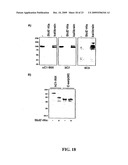 METHOD OF REDUCING THE VISCOSITY OF MUCUS diagram and image