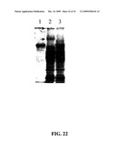 METHOD OF REDUCING THE VISCOSITY OF MUCUS diagram and image