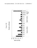 siRNA Targeting TNFalpha diagram and image