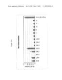 siRNA Targeting TNFalpha diagram and image