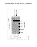 siRNA Targeting TNFalpha diagram and image