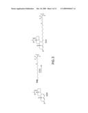 Process for the preparation of 7alpha-alkylated 19-norsteroids diagram and image