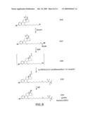 Process for the preparation of 7alpha-alkylated 19-norsteroids diagram and image