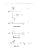 Process for the preparation of 7alpha-alkylated 19-norsteroids diagram and image