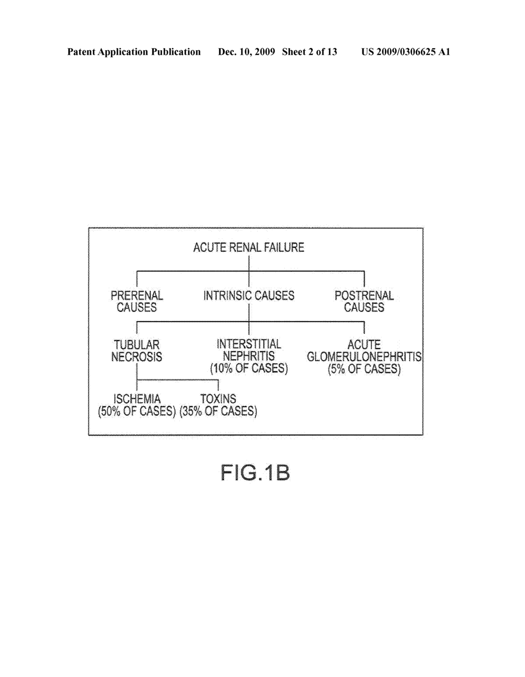 TREATMENT SYSTEMS AND METHODS FOR RENAL-RELATED DISEASES - diagram, schematic, and image 03