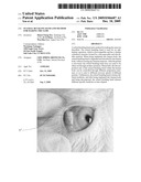 SCLERAL BUCKLING BAND AND METHOD FOR MAKING THE SAME diagram and image