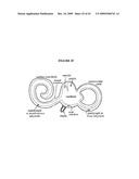 SYSTEMS AND METHODS FOR ALTERING BRAIN AND BODY FUNCTIONS AND FOR TREATING CONDITIONS AND DISEASES OF THE SAME diagram and image