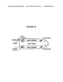 SYSTEMS AND METHODS FOR ALTERING BRAIN AND BODY FUNCTIONS AND FOR TREATING CONDITIONS AND DISEASES OF THE SAME diagram and image