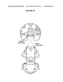 SYSTEMS AND METHODS FOR ALTERING BRAIN AND BODY FUNCTIONS AND FOR TREATING CONDITIONS AND DISEASES OF THE SAME diagram and image