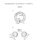 SYSTEMS AND METHODS FOR ALTERING BRAIN AND BODY FUNCTIONS AND FOR TREATING CONDITIONS AND DISEASES OF THE SAME diagram and image