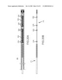 PROSTHESIS AND DELIVERY SYSTEM diagram and image