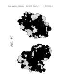 Hydrophobic Moment of Multi-Domain Proteins diagram and image