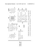 System and Method for Domain Stretching for an Advanced Dual-Representation Polyhedral Loop Transformation Framework diagram and image