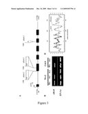 PLANTS WITH INCREASED TOLERANCE TO WATER DEFICIT diagram and image