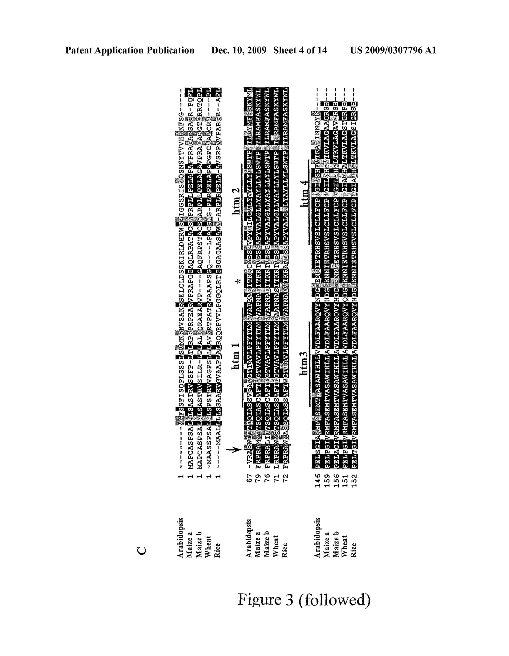 PLANTS WITH INCREASED TOLERANCE TO WATER DEFICIT - diagram, schematic, and image 05