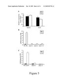 PLANTS WITH INCREASED TOLERANCE TO WATER DEFICIT diagram and image