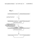 ALTERNATIVE NUCLEOTIDES FOR IMPROVED TARGETED NUCLEOTIDE EXCHANGE diagram and image