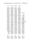 GENETIC MARKERS FOR HIGH OLEIC ACID CONTENT IN PLANTS diagram and image