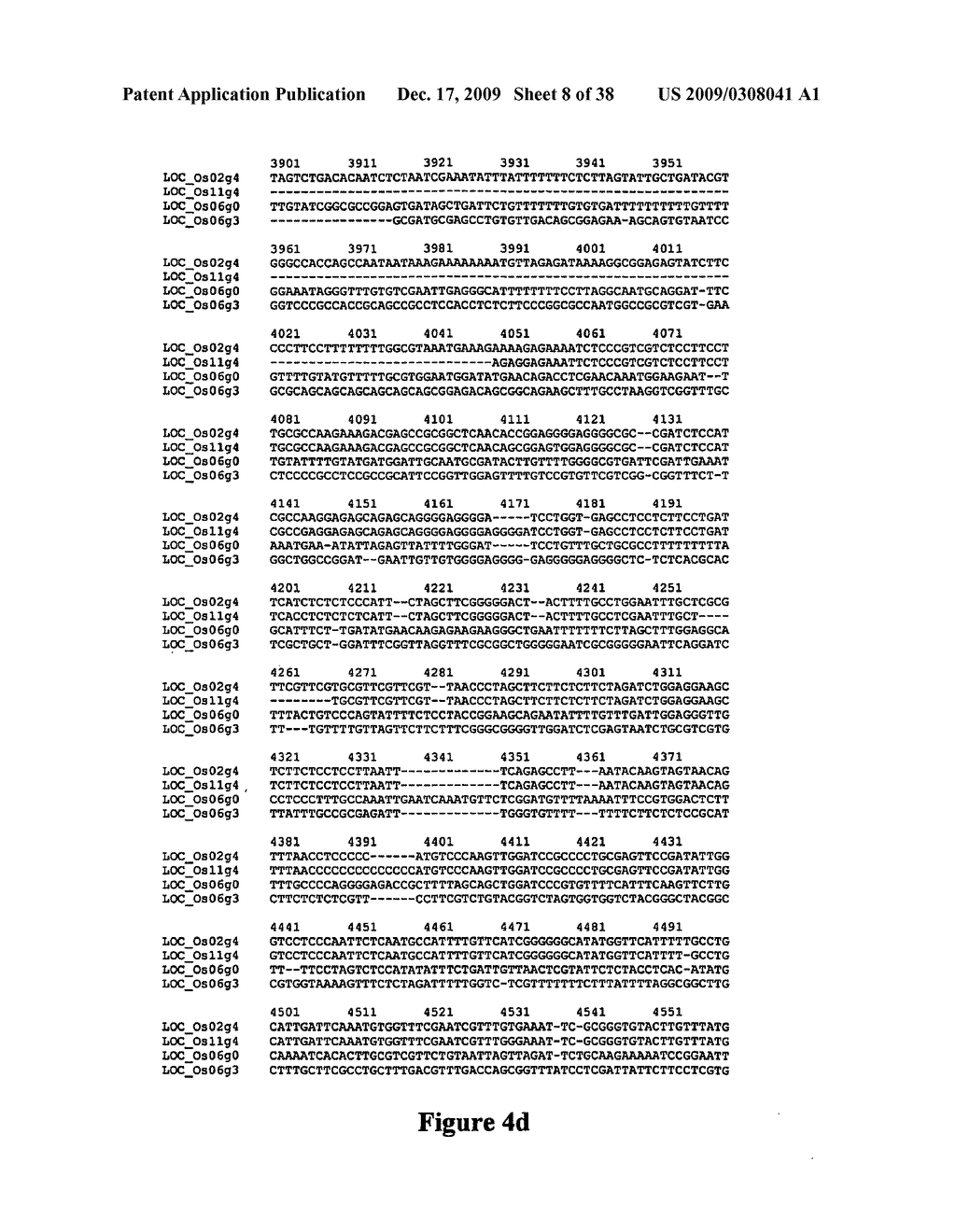 Altering the fatty acid composition of rice - diagram, schematic, and image 09