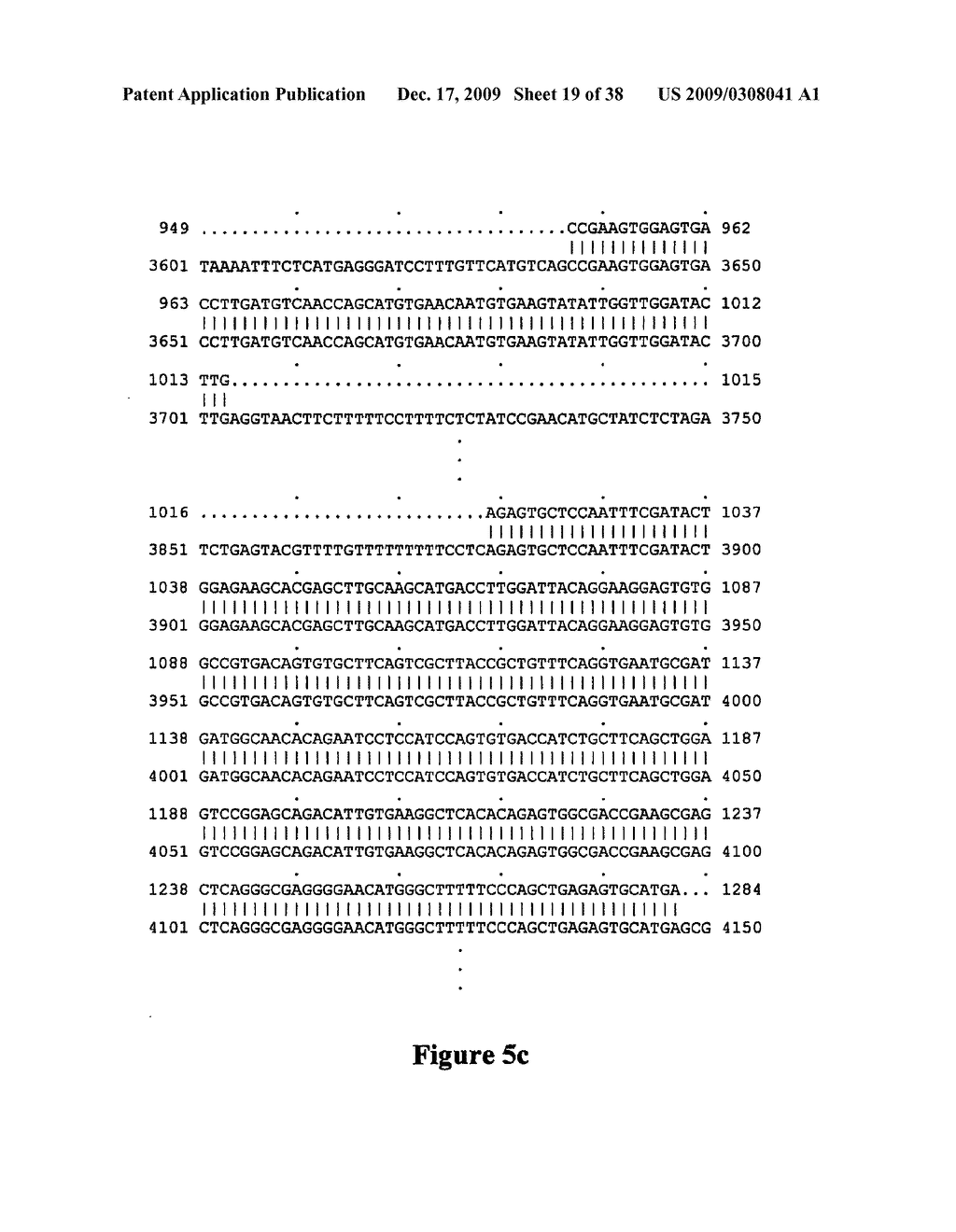 Altering the fatty acid composition of rice - diagram, schematic, and image 20