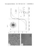 Magnetic Purification of a Sample diagram and image