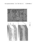 IN-SITU PRECIPITATION THROUGH MICROBIALLY MEDIATED IRON DISTRIBUTION AND IRON OXYHYDROXIDE FORMATION diagram and image