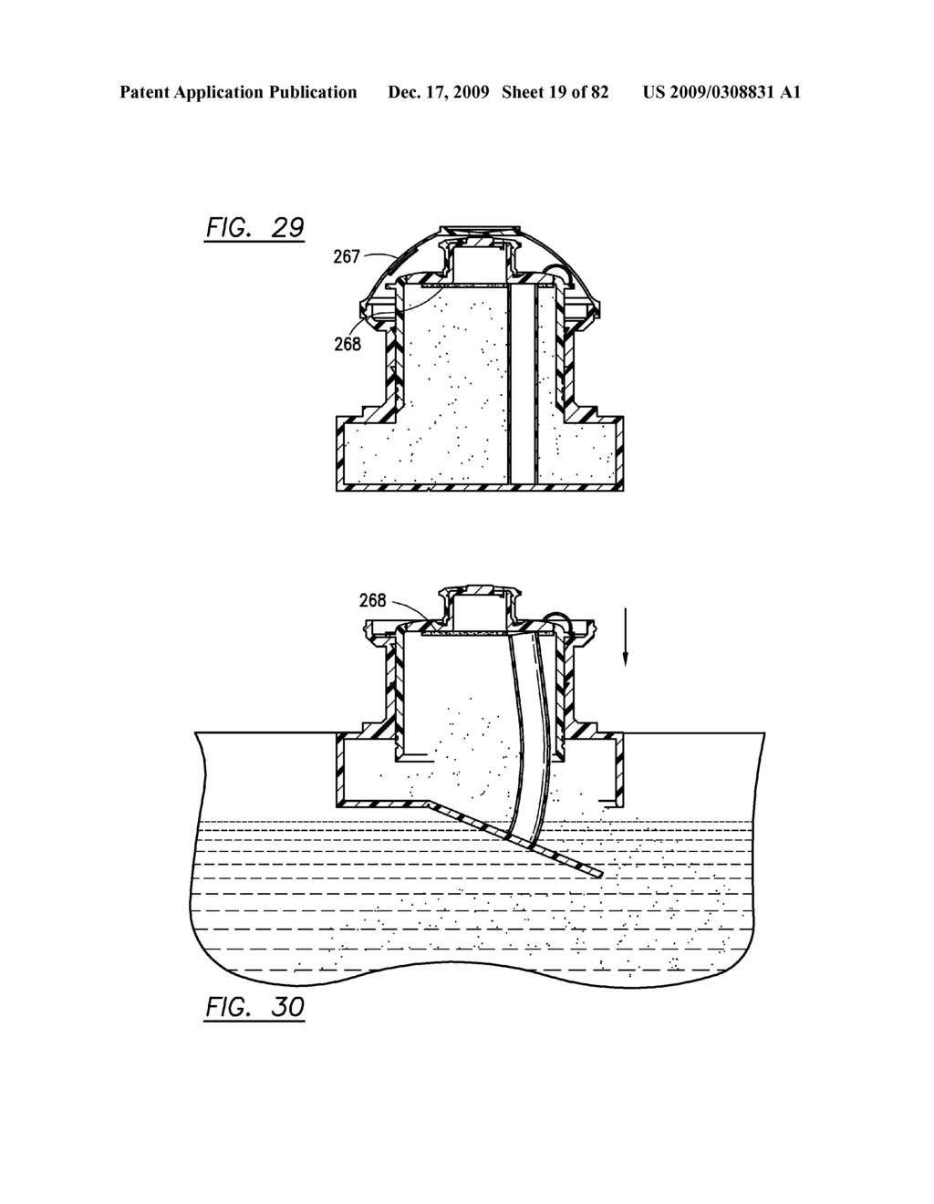 POUCH CARTON AND CONTAINER FITMENTS FOR USE WITH ANY INGREDIENTS - diagram, schematic, and image 20