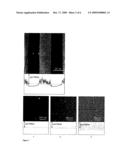 PHOTOCHEMICAL METHOD FOR MANUFACTURING NANOMETRICALLY SURFACE-DECORATED SUBSTRATES diagram and image