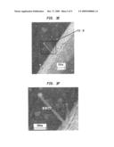 MONOLITHIC HIGH ASPECT RATIO NANO-SIZE SCANNING PROBE MICROSCOPE (SPM) TIP FORMED BY NANOWIRE GROWTH diagram and image