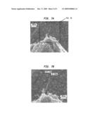 MONOLITHIC HIGH ASPECT RATIO NANO-SIZE SCANNING PROBE MICROSCOPE (SPM) TIP FORMED BY NANOWIRE GROWTH diagram and image