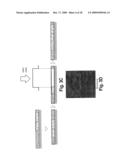 SYSTEMS AND METHODS FOR CREATING CRYSTALLOGRAPHIC-ORIENTATION CONTROLLED poly-SILICON FILMS diagram and image