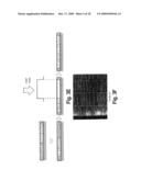 SYSTEMS AND METHODS FOR CREATING CRYSTALLOGRAPHIC-ORIENTATION CONTROLLED poly-SILICON FILMS diagram and image